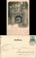 Ansichtskarte Aachen Trimborner Wäldchen 1903 - Aachen