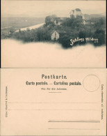 Ansichtskarte Möriken-Wildegg Schloß Wildegg 1909 - Altri & Non Classificati