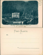 Ansichtskarte Triberg Im Schwarzwald Schwarzwaldhotel Mit Wasserfall 1899 - Triberg