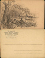 Ansichtskarte  Künstlerkarte Federzeichnung Enten Am Teich 1909 - Autres & Non Classés