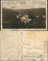 Postcard Marienbad Mariánské Lázně Café ,,Bellevue" Kavárna 1924 - Tchéquie