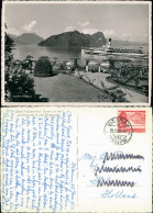 Ansichtskarte Vitznau See Partie Mit Schiff Kleines Fahrgastschiff 1952 - Autres & Non Classés