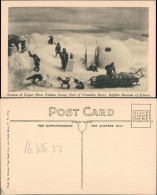 Buffalo Copper River Eskimo Group, Hall Of Primitive Races,  USA Museum 1933 - Autres & Non Classés