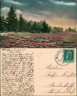 Stimmungsbild: Natur Heidelandschaft Am Tannenwald Wolkenspiel 1914 - Non Classés