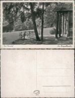 Ansichtskarte Bad Nenndorf Partie Am Knüppelhäuschen 1930 - Bad Nenndorf