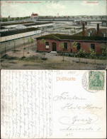 Ansichtskarte Altengrabow Truppenübungsplatz - Totale 1908 - Other & Unclassified