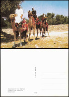 Ansichtskarte  Tiere Kamele Travellers On Their Camels Kamelreiter 1975 - Autres & Non Classés