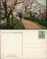 Ansichtskarte Lühe Ernte Altenlande 1907 - Sonstige & Ohne Zuordnung