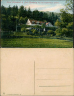 Ansichtskarte Bad Harzburg Hotel Silberborn Von Den Gestütswiesen 1915 - Bad Harzburg