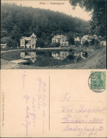 Ansichtskarte Pillnitz Friedrichsgrund - Villen 1905 - Pillnitz