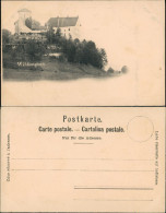 Ansichtskarte  Wildenstein Burg Burgähnliches Gebäude Bauwerk 1900 - Non Classés