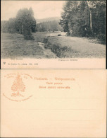 Ansichtskarte Bad Sachsa Partie Mit Eingang Zum Katzenthal Katzental 1904 - Bad Sachsa