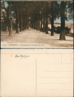 Ansichtskarte Koblenz Promenade Sur Les Bords Du Rhin. 1923 - Koblenz