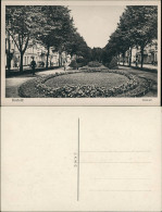 Ansichtskarte Krefeld Crefeld Ostwall - Blumenbeete 1922 - Krefeld