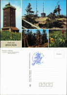 Ilsenburg (Harz) Wetterwarte Und Funktstation Blumen Auf Brocken 1990 - Other & Unclassified