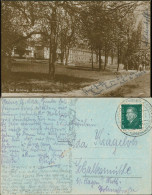 Ansichtskarte Horn-Bad Meinberg Promenade Am Kurhaus Zum Stern 1929 - Sonstige & Ohne Zuordnung
