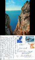 Cartoline Alghero Sardgna Pittoresca Mischfrankatur 1967 - Other & Unclassified