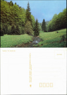 Ansichtskarte  Fluss Durch Wald Und Wiesen, Stimmungsbild 1989 - Unclassified