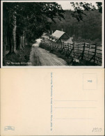Ansichtskarte Bad Harzburg Ansicht, Molkenhaus 1930 - Bad Harzburg