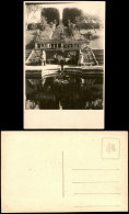 Freck Avrig Parktreppe Mit Springbrunnen, Palmen, Menschen 1929 Privatfoto - Roemenië
