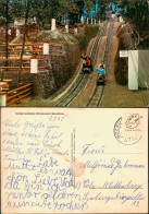 Ansichtskarte Ibbenbüren Sommerrodelbahn Märchenwald Ibbenbüren 1967 - Ibbenbüren