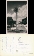Postcard Warna Варна Straße - Treppe 1960 - Bulgarien