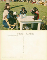 Ansichtskarte  Tiere - Affen, Monkey CHIMPS TEA PARTY, FLAMINGO PARK 1960 - Singes