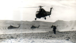 Hélicoptères Sirkorsky Au Décollage - Guerre, Militaire