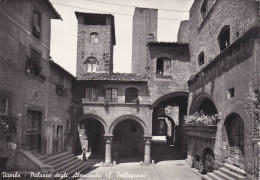 Cartolina Viterbo - Palazzo Degli Alessandri - Viterbo