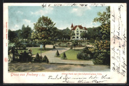 AK Freiberg I. Sa., Albert-Park MitGöpfert'schen Villa  - Freiberg (Sachsen)