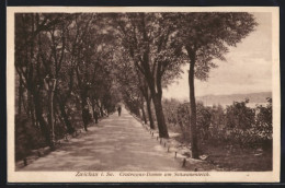 AK Zwickau I. Sa., Crateagus-Damm Am Schwanenteich  - Zwickau