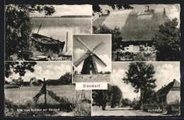 AK Dändorf, Büdnerei, Dorfstrasse, Windmühle  - Autres & Non Classés