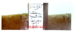 Juin 1926 - Alignements De Carnac ( Bien Animée ) Plaque De Verre En Stéréo - Taille 44 X 107 Mlls - Glasdias