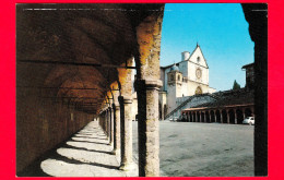 ITALIA - UMBRIA - Assisi (Perugia) - Piazza Inferiore Di S. Francesco - Cartolina Non Viaggiata - Autres & Non Classés