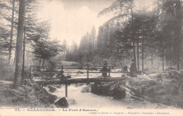 88-GERARDMER-N°T5198-D/0337 - Gerardmer