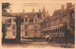 44-CHATEAUBRIANT-N°T5198-F/0223 - Châteaubriant