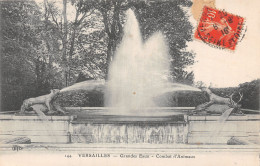 78-VERSAILLES GRANDES EAUX-N°T5199-B/0037 - Versailles (Château)