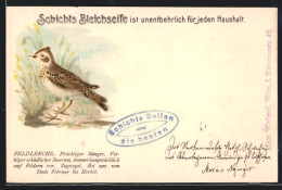 AK Feldlerche Im Gras, Reklame Für Schicht`s Bleichseife  - Oiseaux
