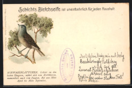AK Schwarzwaldblättchen Auf Einem Ast, Reklame Für Schicht`s Bleichseife  - Oiseaux