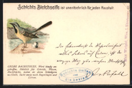 AK Gelbe Bachstelze Am Bach, Reklame Für Schicht`s Bleichseife  - Birds