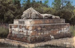 55-VERDUN MONUMENT DE LA CHAPELLE SAINT FINE-N°T5199-H/0071 - Verdun