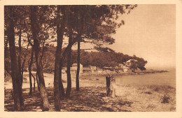 83-LE LAVANDOU-N°T5200-H/0191 - Le Lavandou