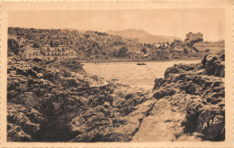 66-BANYULS-N°T5201-B/0025 - Banyuls Sur Mer