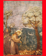 ITALIA - UMBRIA - Assisi (Perugia) - Basilica S. Francesco - Giotto - S. Francesco Uccelli - Cartolina Viaggiata 1979 - Sonstige & Ohne Zuordnung