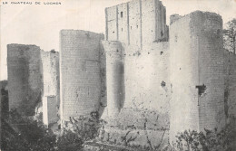 37-LOCHES LE CHÂTEAU-N°T5201-F/0055 - Loches