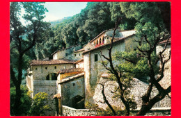 ITALIA - UMBRIA - Assisi (Perugia) - Eremo Delle Carceri - Convento - Cartolina Viaggiata Nel 1978 - Andere & Zonder Classificatie