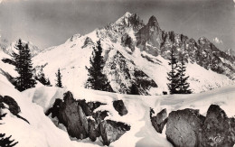 74-CHAMONIX MONT BLANC-N°T5201-G/0117 - Chamonix-Mont-Blanc