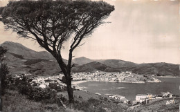 66-BANYULS SUR MER-N°T5202-A/0349 - Banyuls Sur Mer