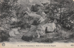 77-FONTAINEBLEAU-N°4231-G/0099 - Fontainebleau