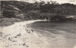 Croazia   -  Lopud  -  Panorama Della Spiaggia  -  F. Piccola  -  Nuova -  Bel Panorama - Fotografica - Croatie